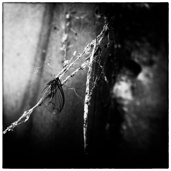 November 30 - On the Wall