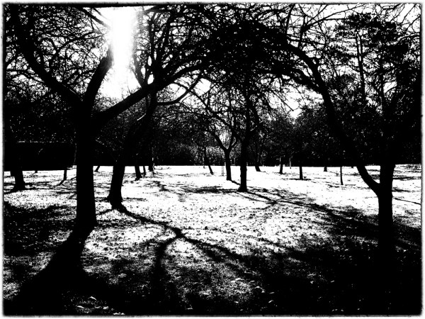 December 7 - Winter Light