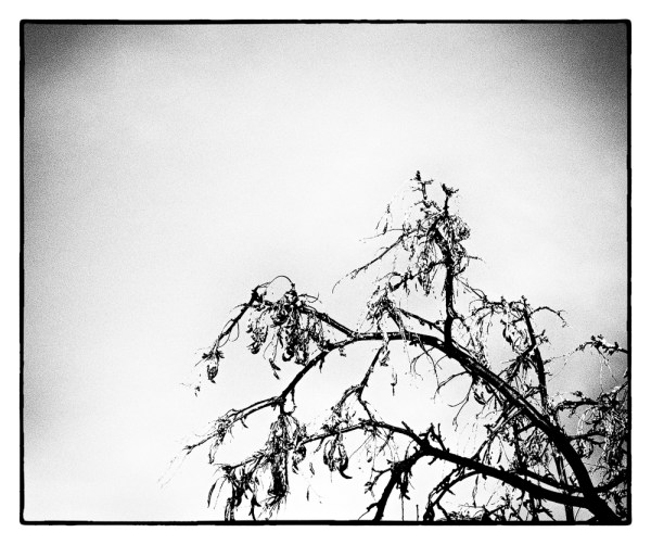 January 13 - 268 of 365