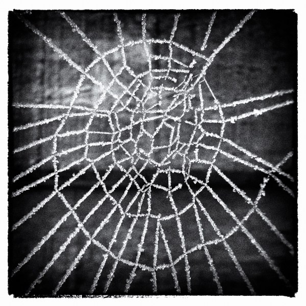 January 16 - Close Up