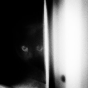 January 28 - Glimpse