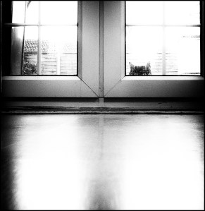 January 31 - From Ground Level