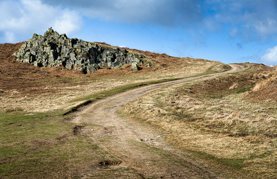 bradgate_park-28173