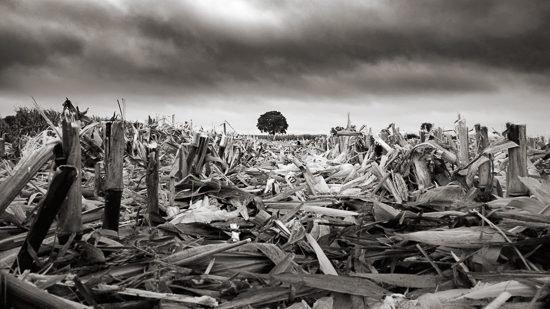 Fujifilm X-E2, XF 18-55mm f/2.8-4. 1/80sec at f/13.0. ISO 400